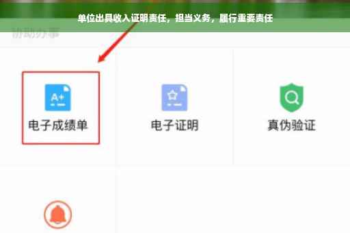 单位出具收入证明责任，担当义务，履行重要责任