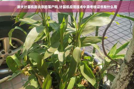 浙大计算机到北京能落户吗,计算机应用技术中级考核证书有什么用