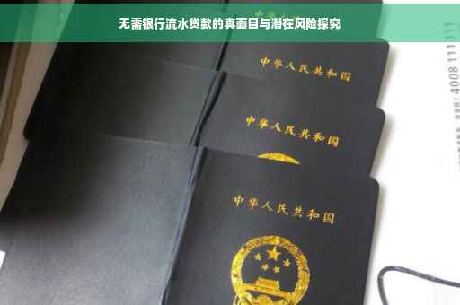 无需银行流水贷款的真面目与潜在风险探究