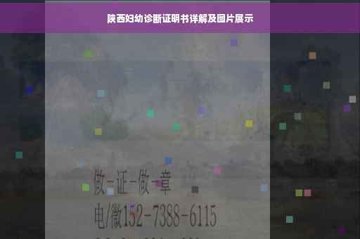 陕西妇幼诊断证明书详解及图片展示