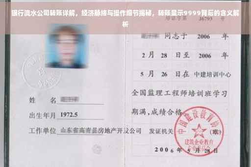 银行流水公司转账详解，经济脉络与操作细节揭秘，转账显示9999背后的含义解析