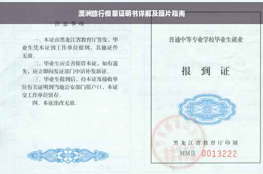 澳洲旅行疫苗证明书详解及图片指南