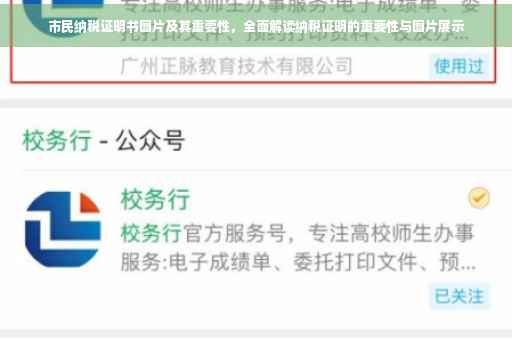 市民纳税证明书图片及其重要性，全面解读纳税证明的重要性与图片展示