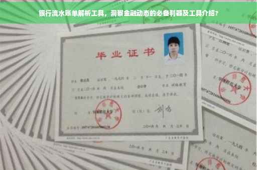 银行流水账单解析工具，洞察金融动态的必备利器及工具介绍?