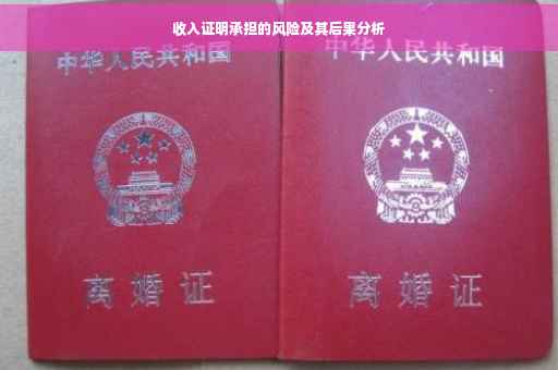 收入证明承担的风险及其后果分析