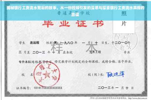 揭秘银行工资流水背后的故事，从一份视频引发的深思与探索银行工资流水真相的旅程