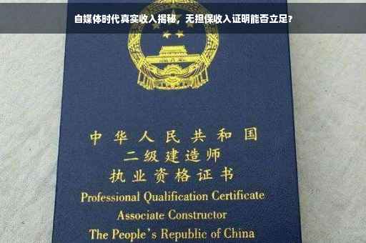 自媒体时代真实收入揭秘，无担保收入证明能否立足？