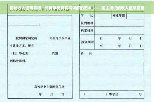 揭秘收入证明真相，如何平衡真实与误解的艺术 —— 雇主提供的收入证明指南