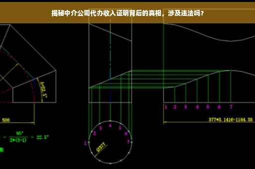 揭秘中介公司代办收入证明背后的真相，涉及违法吗？