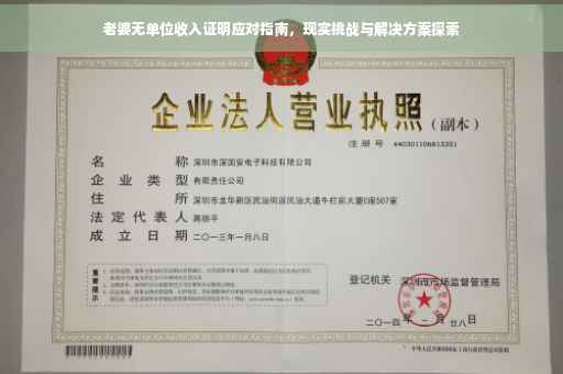 老婆无单位收入证明应对指南，现实挑战与解决方案探索