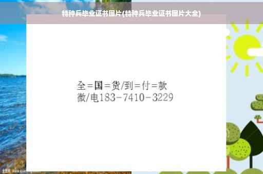 特种兵毕业证书图片(特种兵毕业证书图片大全)
