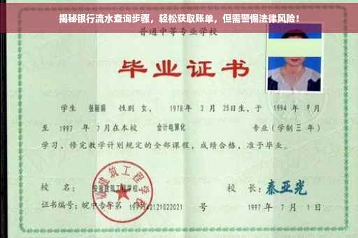 揭秘银行流水查询步骤，轻松获取账单，但需警惕法律风险！