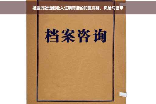 揭露贷款造假收入证明背后的犯罪真相，风险与警示