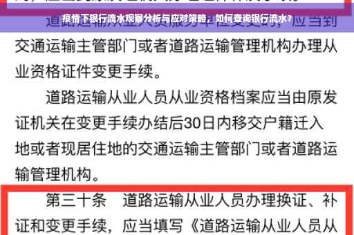 疫情下银行流水观察分析与应对策略，如何查询银行流水？