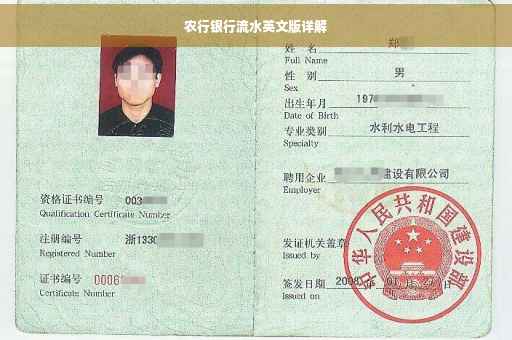农行银行流水英文版详解