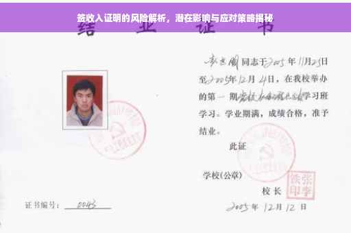 签收入证明的风险解析，潜在影响与应对策略揭秘