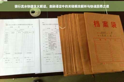 银行流水快捷含义解读，金融语言中的关键概念解析与快速洞悉之道