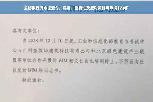 揭秘银行流水调查令，真相、重要性及应对策略与申请书详解