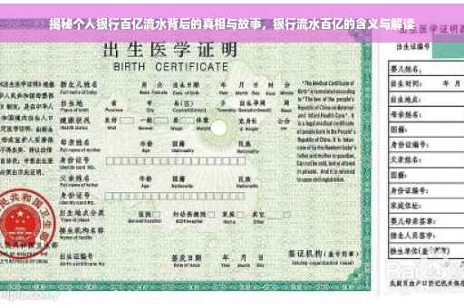 揭秘个人银行百亿流水背后的真相与故事，银行流水百亿的含义与解读