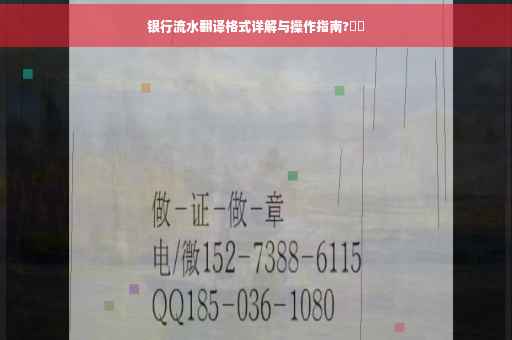 银行流水翻译格式详解与操作指南?⚡️