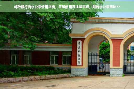 邮政银行流水公章使用指南，正确使用及注意事项，附流水公章图片??