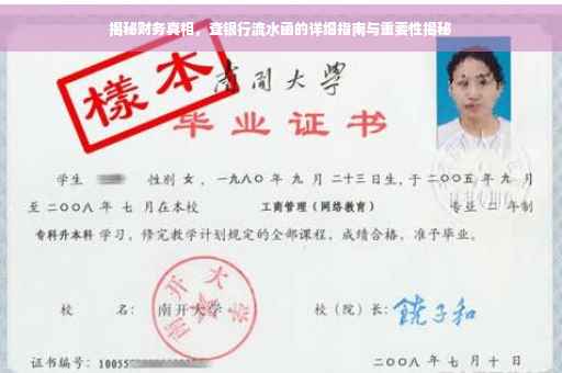 揭秘财务真相，查银行流水函的详细指南与重要性揭秘