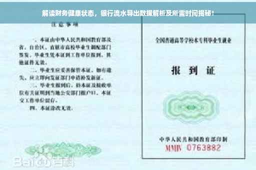 解读财务健康状态，银行流水导出数据解析及所需时间揭秘！