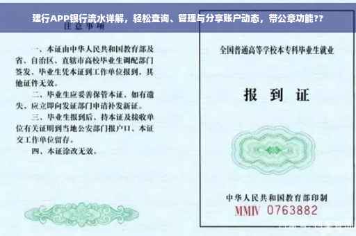 建行APP银行流水详解，轻松查询、管理与分享账户动态，带公章功能??