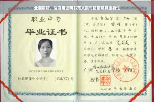 全面解析，法庭用证明书范文撰写指南及其重要性