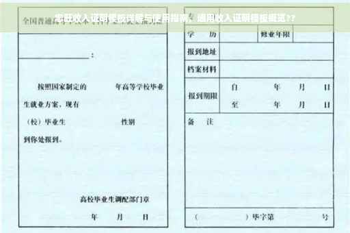忠旺收入证明模板详解与使用指南，通用收入证明模板概览??