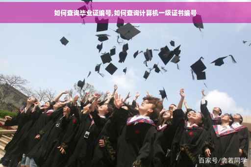 如何查询毕业证编号,如何查询计算机一级证书编号