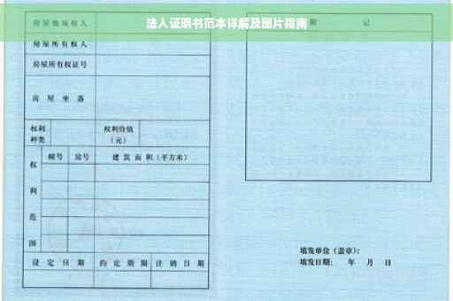 法人证明书范本详解及图片指南