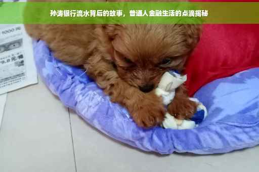 孙涛银行流水背后的故事，普通人金融生活的点滴揭秘