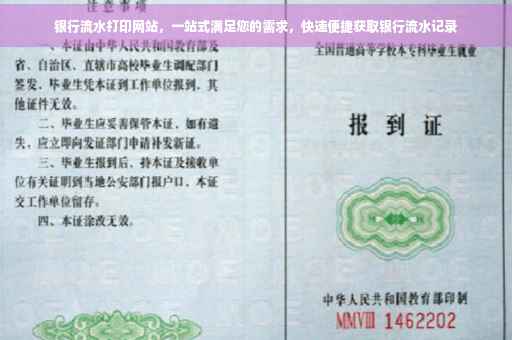 银行流水打印网站，一站式满足您的需求，快速便捷获取银行流水记录