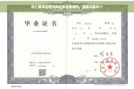 死亡医学证明书样式及其重要性，图解与解析??