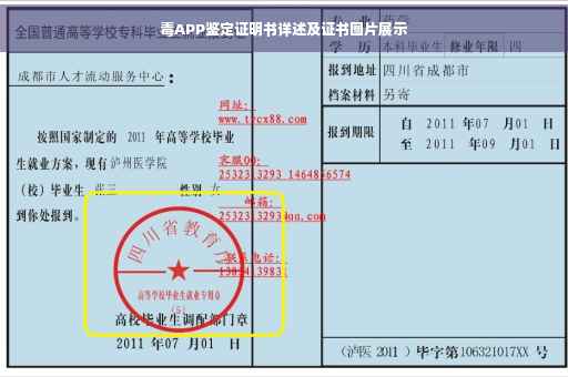 毒APP鉴定证明书详述及证书图片展示