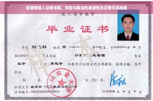 经营部收入证明详解，获取与解读的重要性及正确开具流程