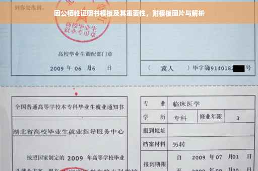 因公牺牲证明书模板及其重要性，附模板图片与解析