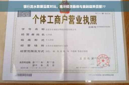 银行流水数据深度对比，揭示经济脉络与金融趋势洞察??