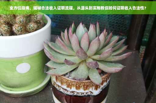 全方位指南，揭秘合法收入证明流程，从源头到实施教你如何证明收入合法性?