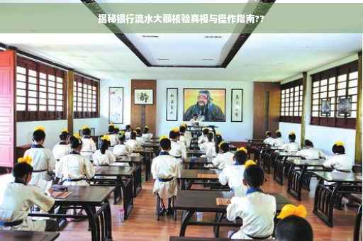 揭秘银行流水大额核验真相与操作指南??