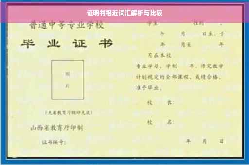 证明书相近词汇解析与比较