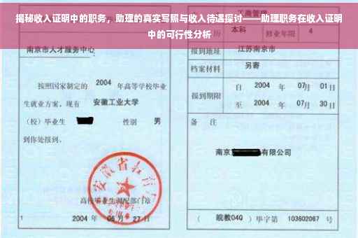 揭秘收入证明中的职务，助理的真实写照与收入待遇探讨——助理职务在收入证明中的可行性分析