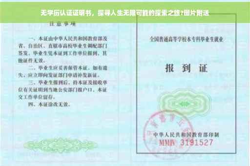 无学历认证证明书，探寻人生无限可能的探索之旅?图片附送