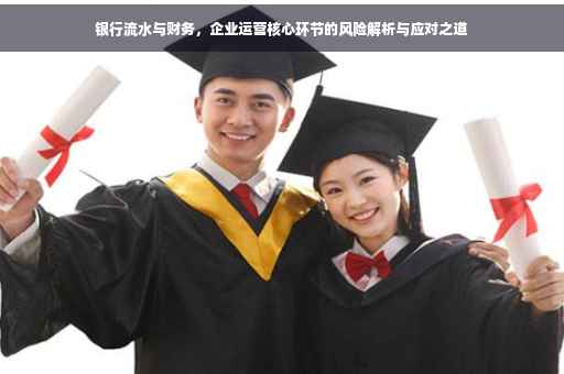 银行流水与财务，企业运营核心环节的风险解析与应对之道