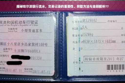 揭秘哈尔滨银行流水，交易记录的重要性、获取方法与金额解析??