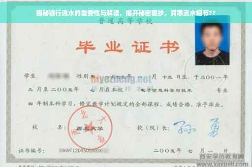 揭秘银行流水的重要性与解读，揭开秘密面纱，洞悉流水细节??