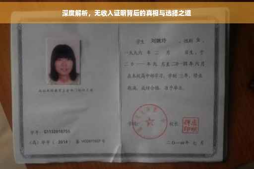 深度解析，无收入证明背后的真相与选择之道