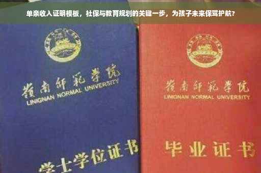 单亲收入证明模板，社保与教育规划的关键一步，为孩子未来保驾护航?