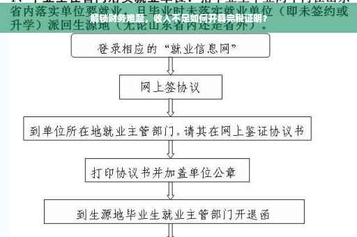 解锁财务难题，收入不足如何开具完税证明？